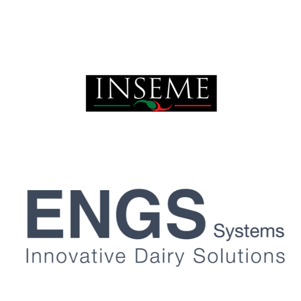 Imagen del logotipo de Engs Inseme